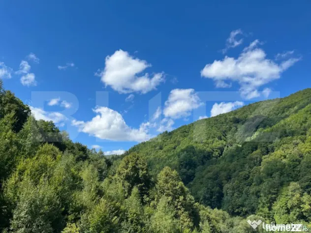 Cabană 5 camere, teren de 1000 mp, Valea Ierii - Valea Ierii (Cluj)