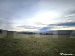 Oportunitate de Investiție - 8000 mp intravilan in Salicea