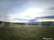 Oportunitate de Investiție - 8000 mp intravilan in Salicea 