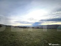 Oportunitate de Investiție - 8000 mp intravilan in Salicea 