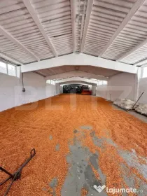 Hala de inchiriat 350 m² , Cășeiu