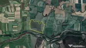 Teren comasat 50 ha, Bazoșul Nou, la 18 km de Timișoara 