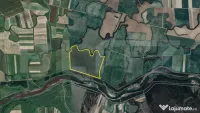 Teren comasat 50 ha, Bazoșul Nou, la 18 km de Timișoara 