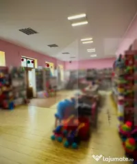 Spațiu comercial in Lipova, Arad – Investiție cu randame 