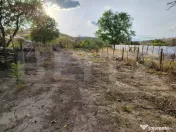 Casă bătrânească la stradă, Podari-Livezi, teren 822 mp 