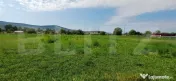 Teren de vanzare in Livezile 