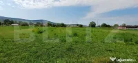 Teren de vanzare in Livezile 