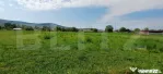 Teren de vanzare in Livezile