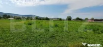 Teren de vanzare in Livezile