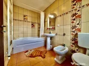 Apartament 3 camere 2 bai, 70mp, parcare, zona Muzeul Apei 