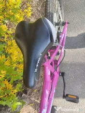 Bicicleta copii X-Fact Princess - 20" 