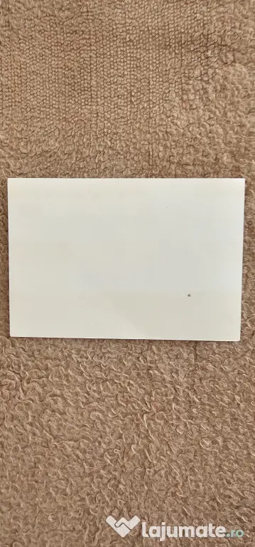 Carte postala necirculata Bilete de papagal,foarte veche