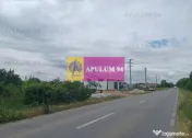 Săbăreni, teren 1900 mp, stradal, hală depozitare, pro... 