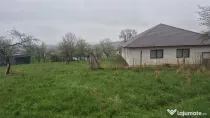 Grosi, zona Primariei, 40 ari teren