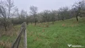 Grosi, zona Primariei, 40 ari teren 