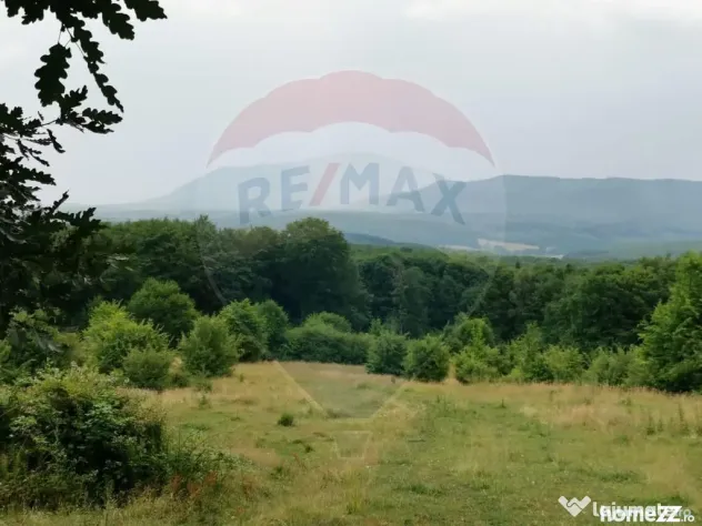 Teren aproape de pădure, situat într-o zonă aerisită - Vladeni (Brasov)