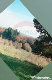 Teren aproape de pădure, situat într-o zonă aerisită 