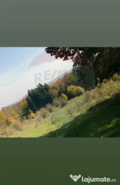 Teren aproape de pădure, situat într-o zonă aerisită 