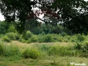Teren aproape de pădure, situat într-o zonă aerisită 