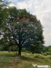 Teren aproape de pădure, situat într-o zonă aerisită 