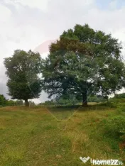 Teren aproape de pădure, situat într-o zonă aerisită 