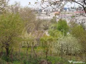 Teren pentru dezvoltare zona Tudor Neculai - potențial dezv 