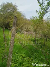 Teren pentru dezvoltare zona Tudor Neculai - potențial dezv 