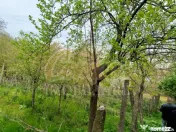 Teren pentru dezvoltare zona Tudor Neculai - potențial dezv 