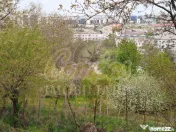 Teren pentru dezvoltare zona Tudor Neculai - potențial dezv 