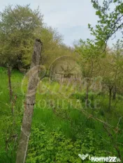 Teren pentru dezvoltare zona Tudor Neculai - potențial dezv 