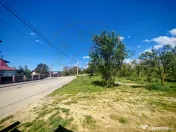 Teren central intravilan în Mioveni 