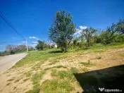 Teren central intravilan în Mioveni 
