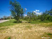 Terenul ideal intravilan în Mioveni pentru casă ideală 