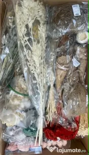 Articole floristica 