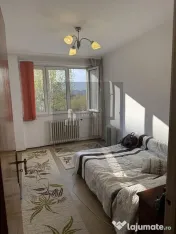 Apartament Nicolae Grigorescu / Camil Ressu / IOR 