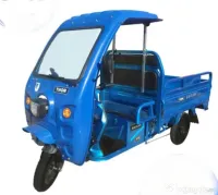 Tricicletă electrică 