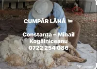 colectare Lână bruta 