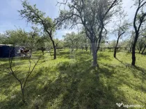Teren Intravilan în suprafață de 700 mp - Sarmas