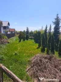 Teren intravilan, 4600mp, zona Francei, Radauti 