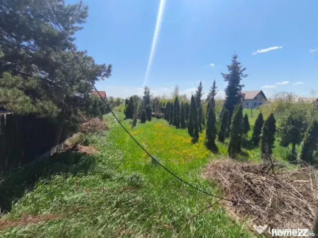 Teren intravilan, 4600mp, zona Francei, Radauti