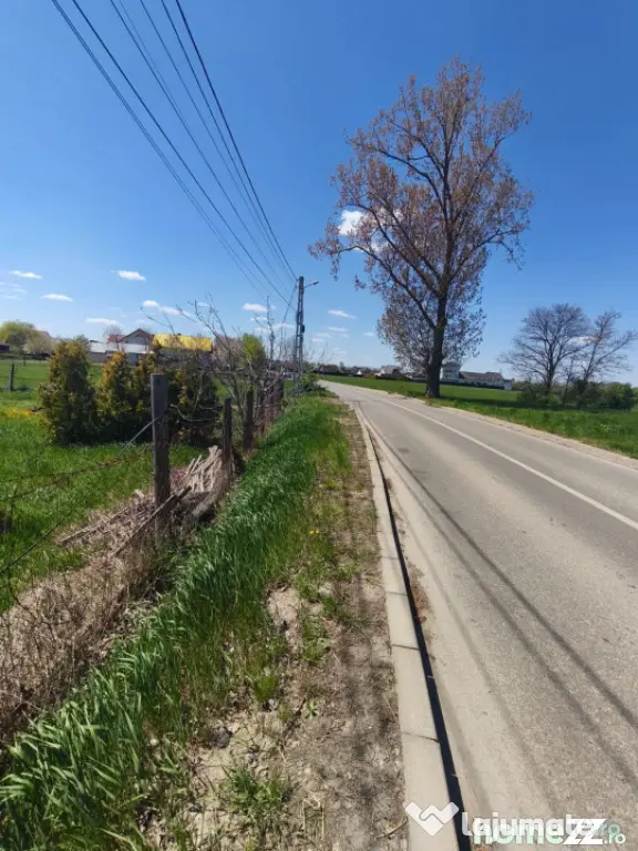 Teren intravilan, 4600mp, zona Francei, Radauti