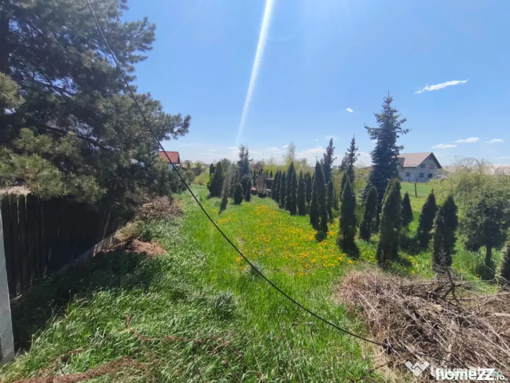 Teren intravilan, 4600mp, zona Francei, Radauti