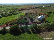 Casa cu 3094mp livada Cotesti 