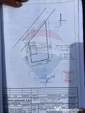 Casa cu 3094mp livada Cotesti 
