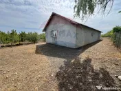 Casa cu 3094mp livada Cotesti 