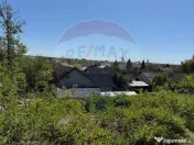 STRADA GRIVITEI Baia Mare, teren intravilan ideal pentru ... 