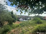 TEREN CU PRIVELISTE DEOSEBITA SPRE ORAS STRADA GRIVITEI d... 
