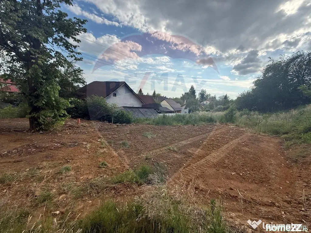 TEREN CU PRIVELISTE DEOSEBITA SPRE ORAS STRADA GRIVITEI d...