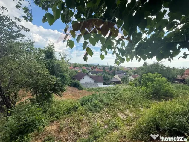 TEREN CU PRIVELISTE DEOSEBITA SPRE ORAS STRADA GRIVITEI d...
