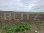 Teren de vanzare intravilan, 33 ari, Cumparatura
